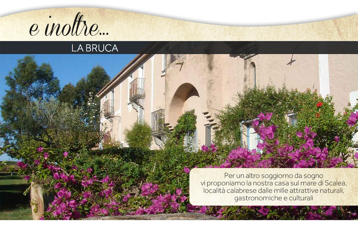 HOLIDAY-HOMES-RENTAL-LA-BRUCA-SCALEA-CALABRIA-MARINA-DEI-PIOPPI-SANTA-MARIA-DEL-CEDRO-ITA