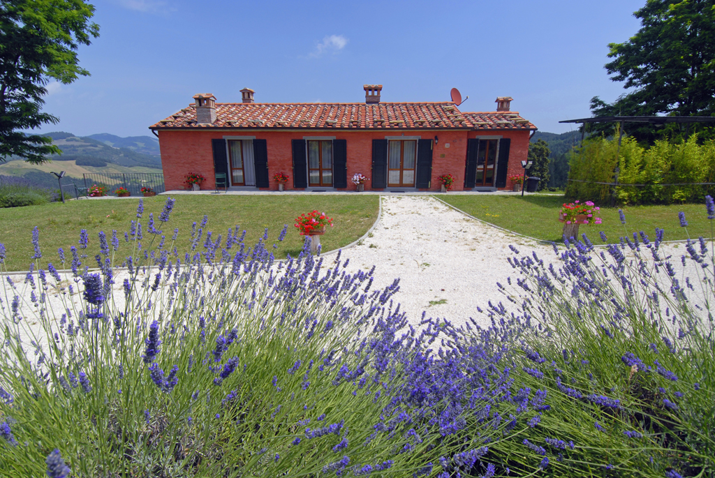 MAZZINO-TOSCANA-VILLA-WITH-SWIMMING-POOL-LUXURY-HOLIDAY-RENTAL-UP-TO-6-PEOPLE